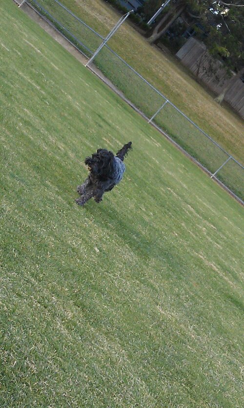 1326701278948.jpg image