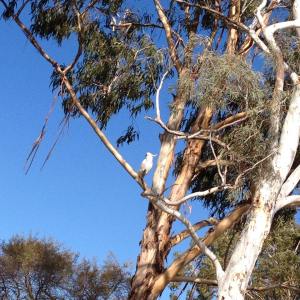 11263836_1603767473169240_1466651768_n